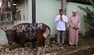 IMG-20260527-WA0017