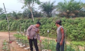 IMG-20260722-WA0195