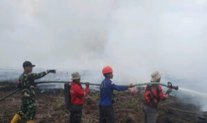 IMG-20260829-WA0011