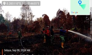 IMG-20260908-WA0035